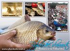 Vzhled pohlednice - Rybářské slavnosti 2011